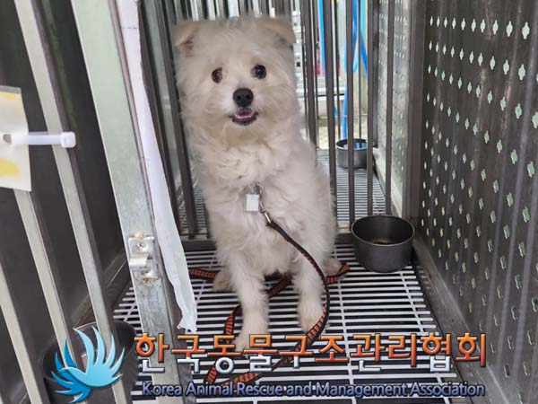 한국동물구조관리협회_441559202400127